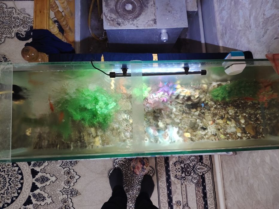 Аквариум арзон нархда сотилади