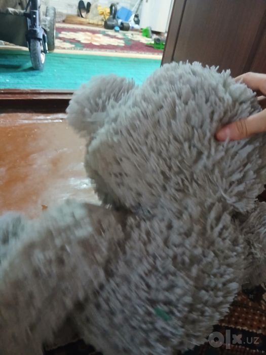 Teddy ayiqcha sotaman