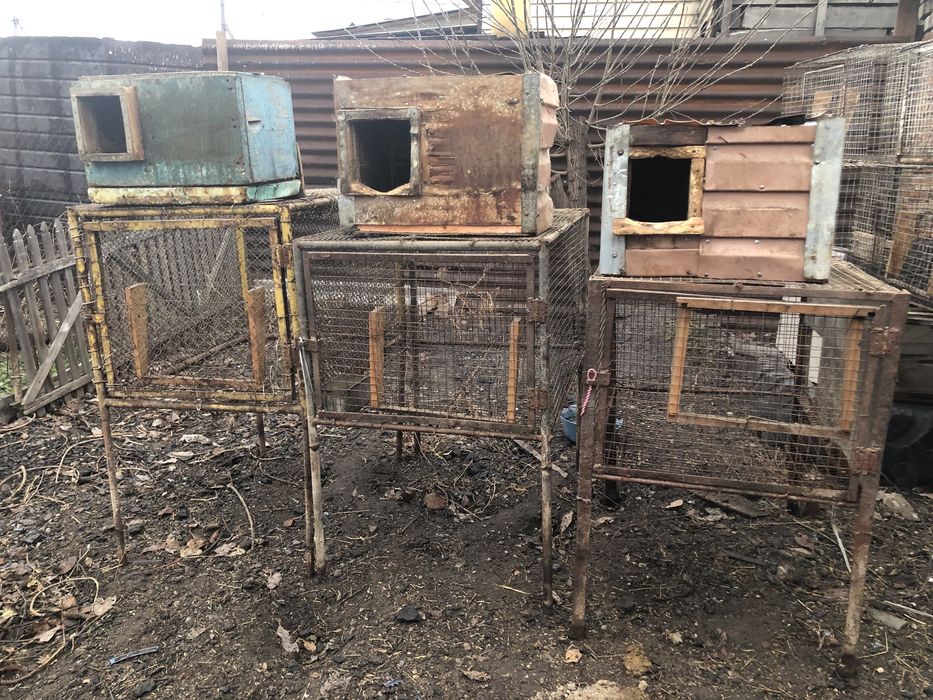 Клетки для животных и птиц