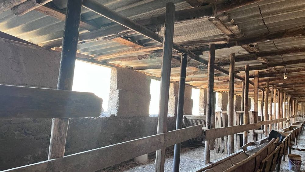 Срочно арендага берилади Мол бокишга мослашган