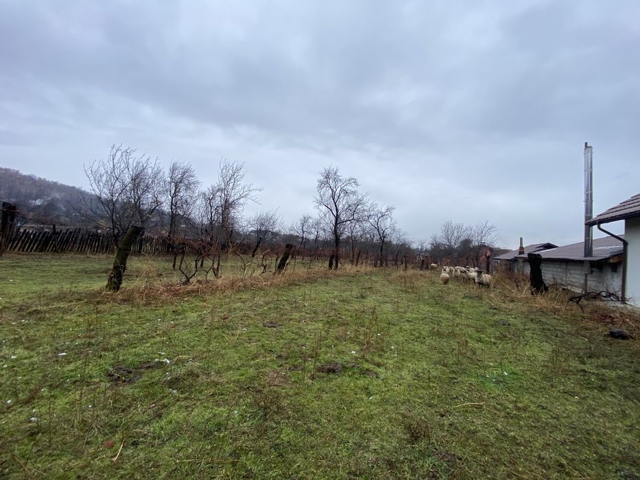 Teren Intravilan Baia de Fier