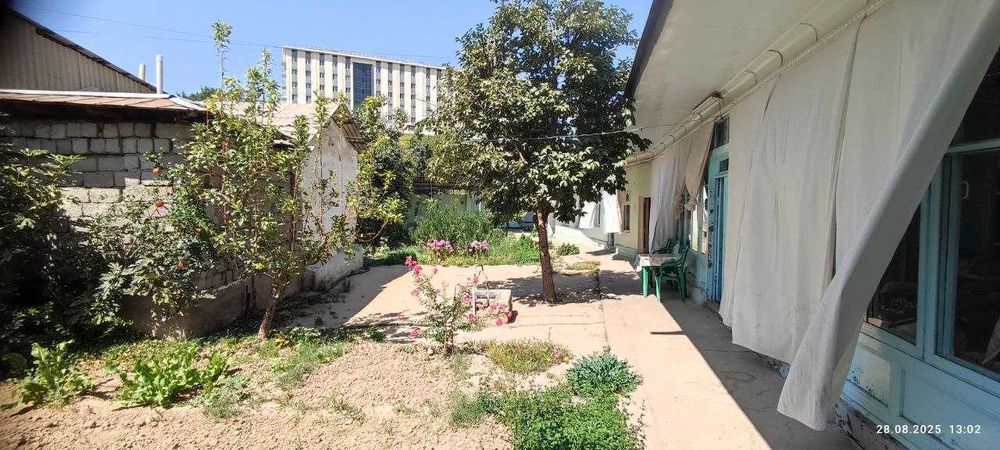 Ховли ер хисобида сотилади 5,5 сотка