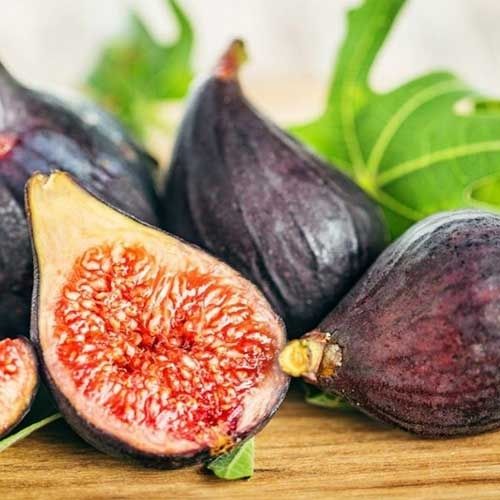 Pomi Fructiferi Exotici (Smochin Royal Black )