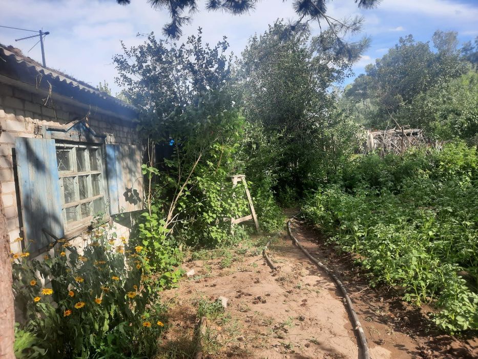 Сдам в аренду дачу