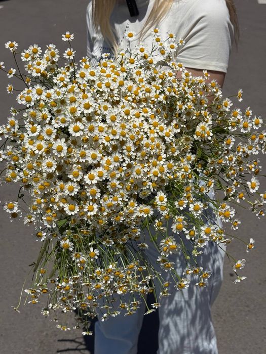 Букеты розы доставка цветов