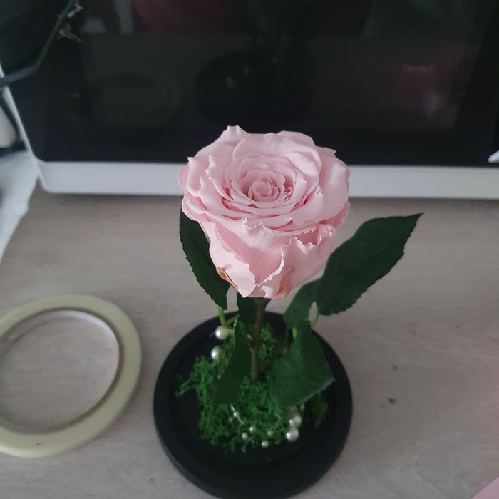 Trandafir criogenat cadou