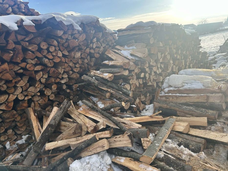 Vand lemne de foc fag