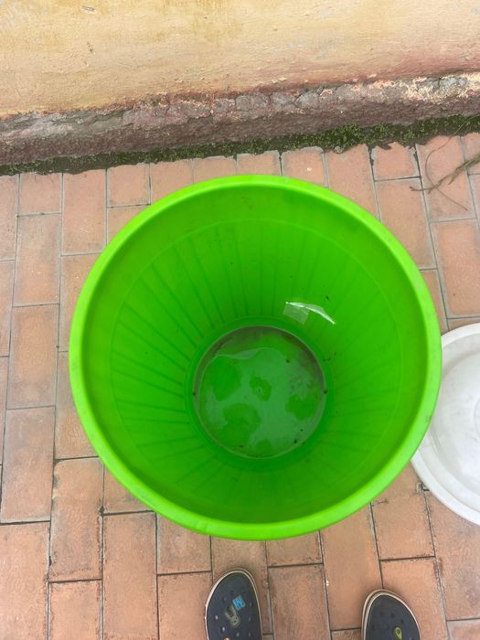 Ведро мусорное примерно 50 литров