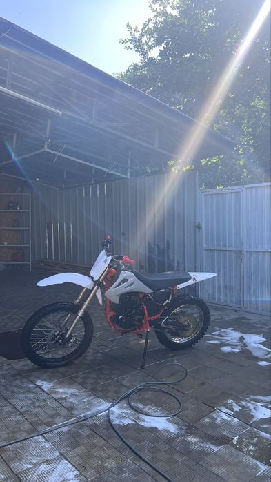Продам progasi palma 300