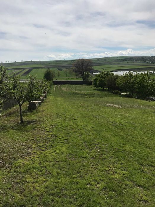 Casa si gradina 5600 mp Tureni