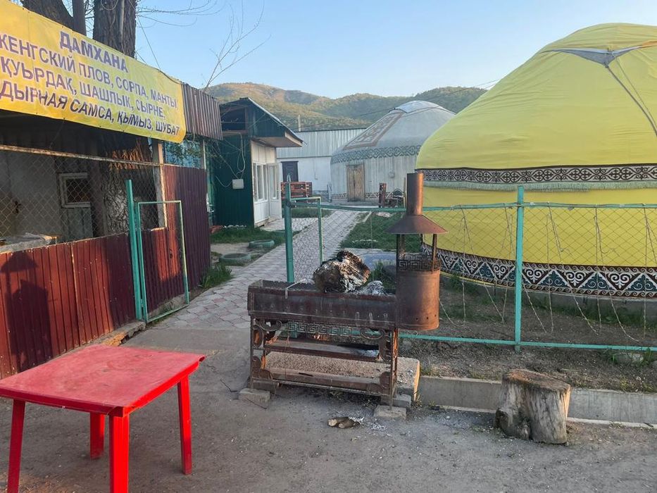 Кафе Қымыз шұбат саумал, Кумыс