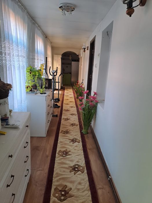 Casa de vis in Bailesti