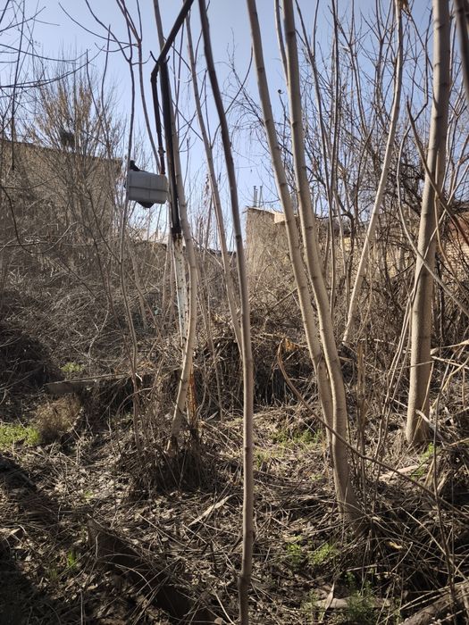 Продаётся земельный участок 4,8 соток  Яккасарай район Улица Хумо Хумо