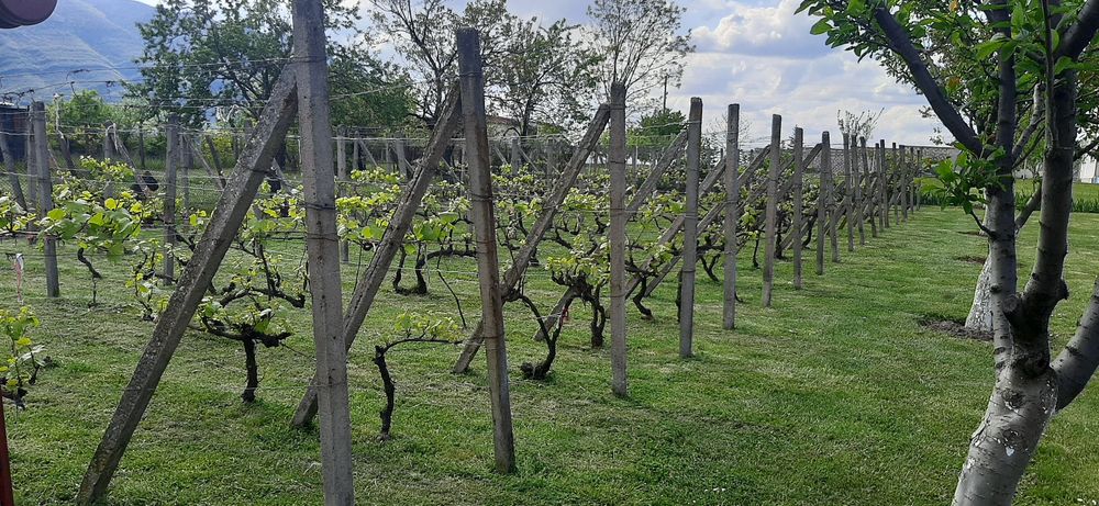 Продава се Къща в с. Нефела, Област Враца - 220 кв.м за 580 €/кв.м - Снимка #7