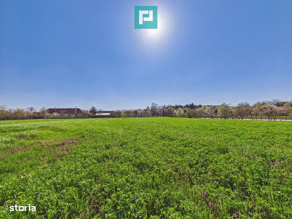 Teren intravilan 3024 mp, în comuna Almaș, Arad