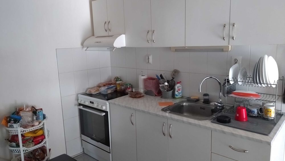 Дава се под наем Къща в с. Поляна, Област Силистра - 200 кв.м за 130000 € - Снимка #5