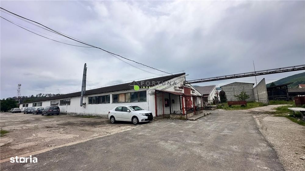 Hale industriale Teliu - 145000e 200.000e 450000e
