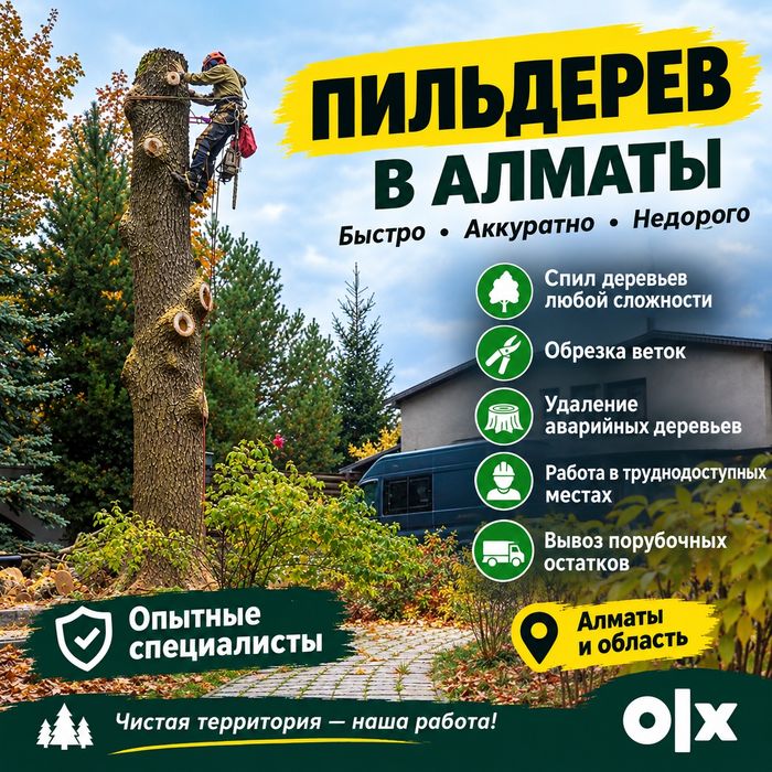 Спил деревьев, обрезка дерева, дерево, ағаш кесеміз