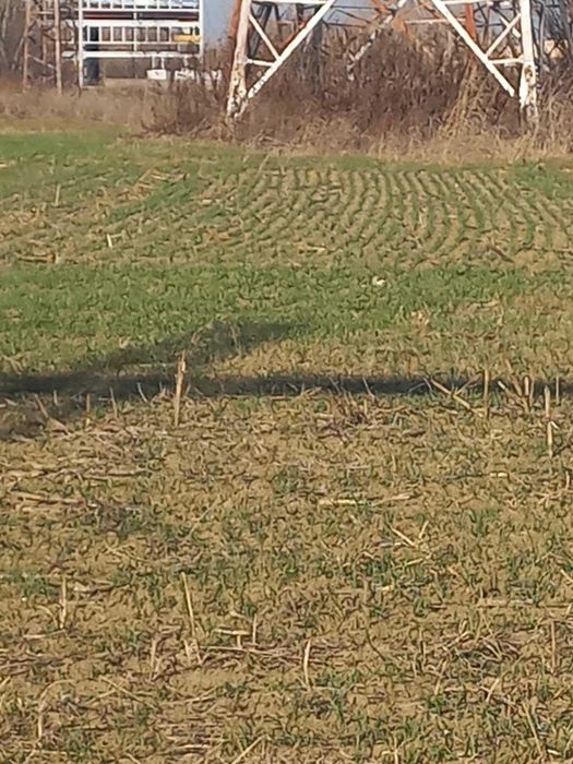 Парцел зад митницата на кукленско шосе