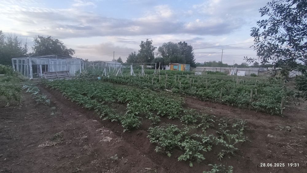 Продам дачу конца сезон на СОЮЗ