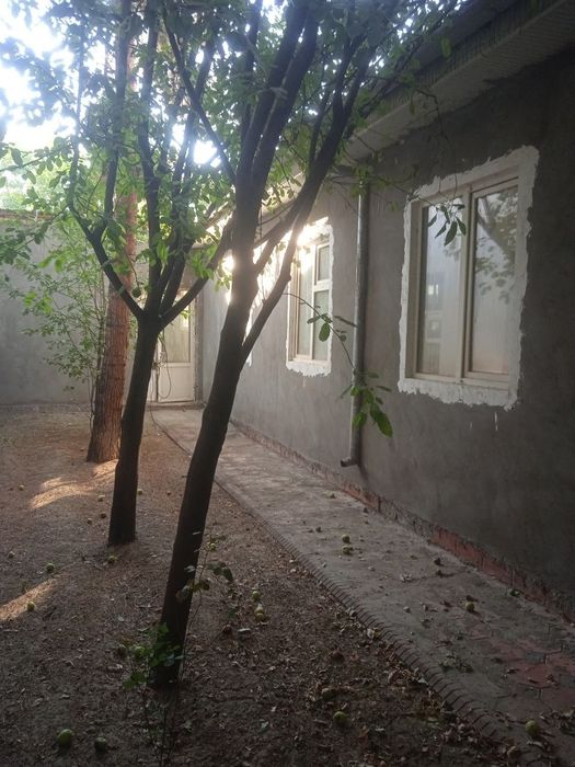 Hovli uchastka sotiladi  3.6 sotik Mirzo Ulug'bek Talkovskiy