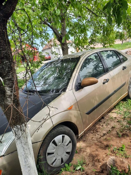 Ford Focus 1,6 benzina