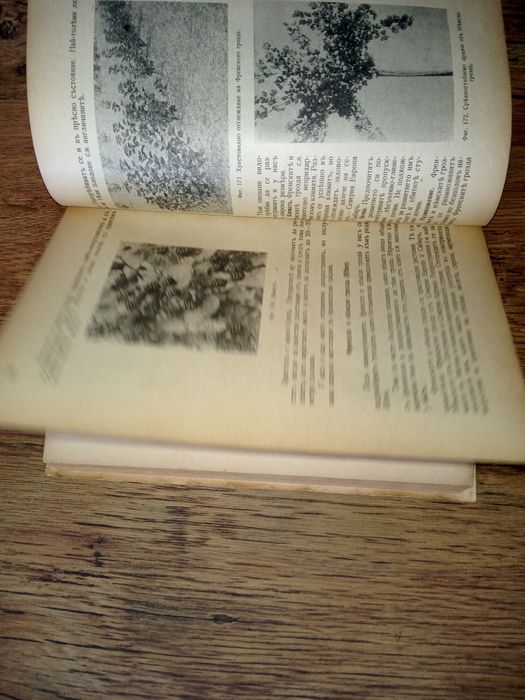 Ръководство по овощарство 1942 година