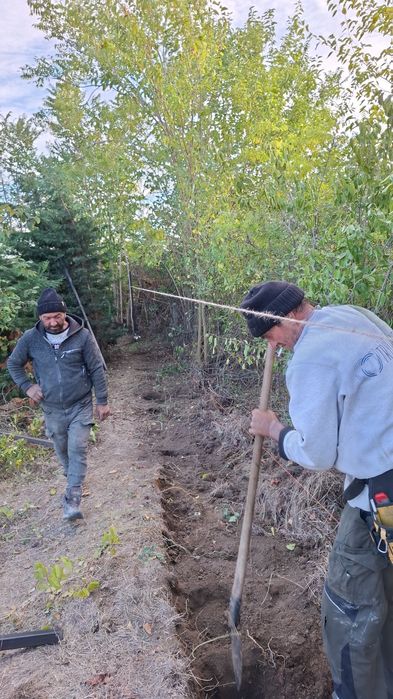 Executam garduri la cerință dumneavoastră