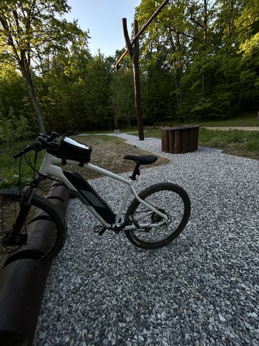 Vand bicicleta asistata electric MTB E-ST 100