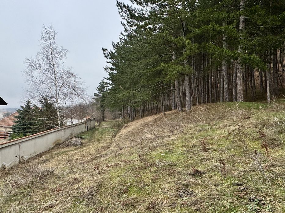 Продава се Парцел в с. Тополово, Област Пловдив - 1280 кв.м за 43 €/кв.м - Снимка #6