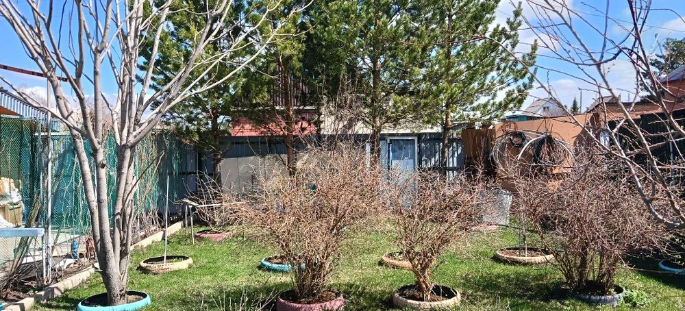 Продам дачу.  Акимовка Восточно Степной