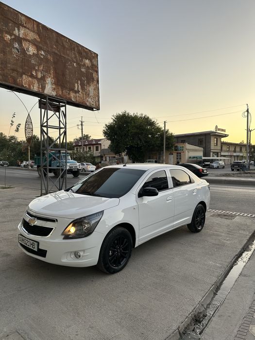 Cobolt Midnight 2025