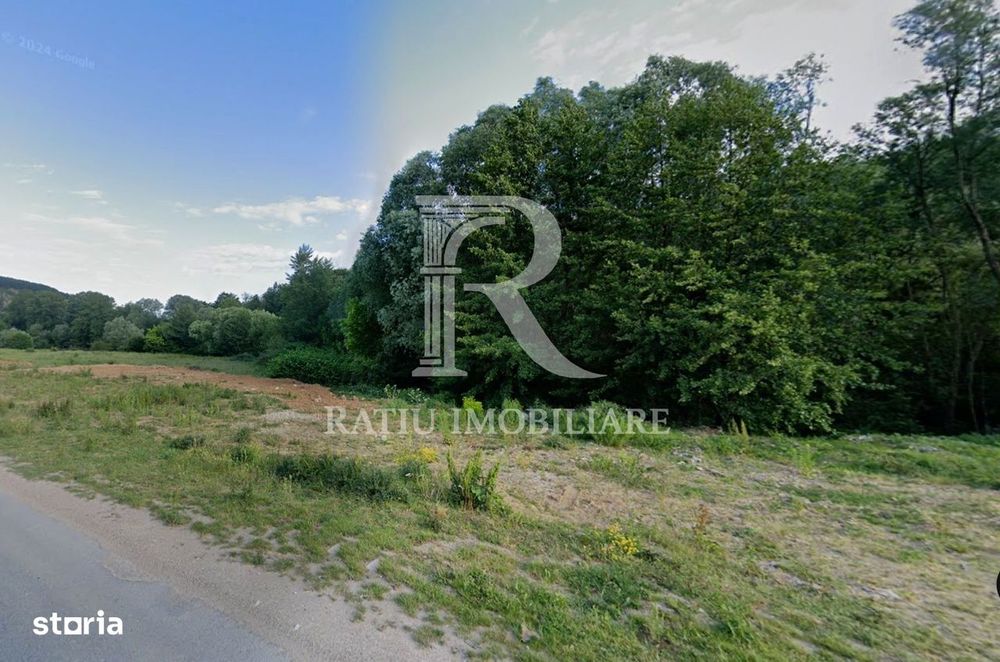 Teren Extravilan de vânzare | Șoimi | Bihor