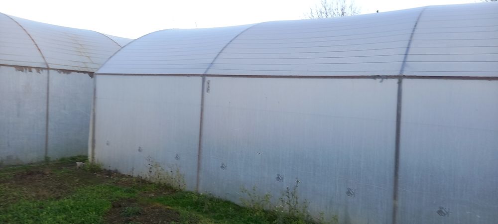 Продавав оранжерия