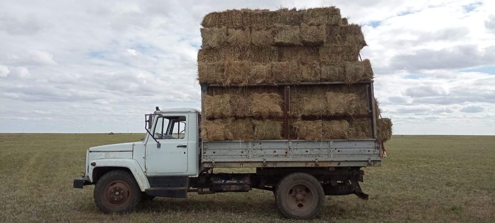 ГАЗ 2013 года,модель:3309