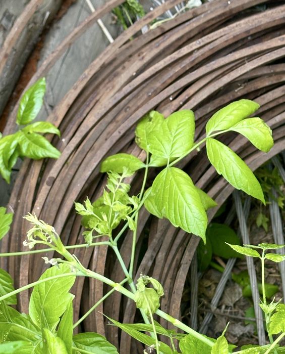 Продам металлические материалы