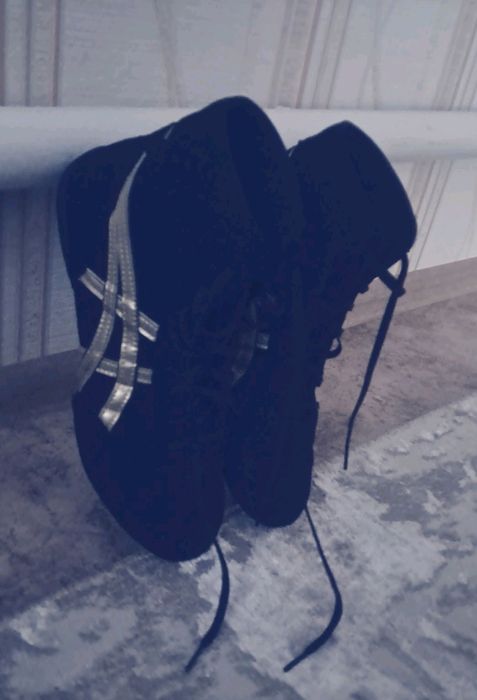 Тайгер Борцовка черный