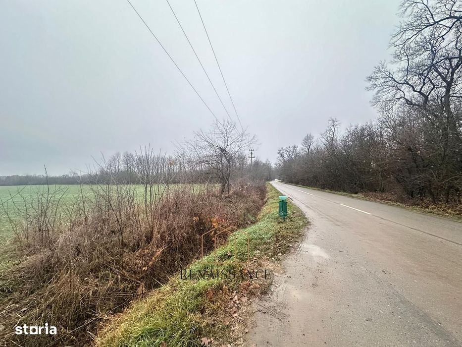 Giroc Teren 30.000mp PUZ APROBAT Pentru Case | Asfalt - Langa Padure