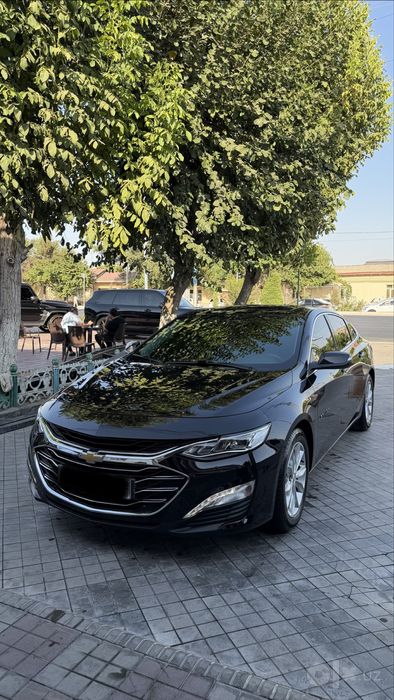 Malibu 2 premier kraskasi tozza