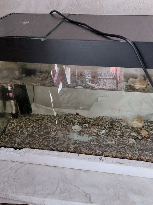 Продается аквариум на 60л