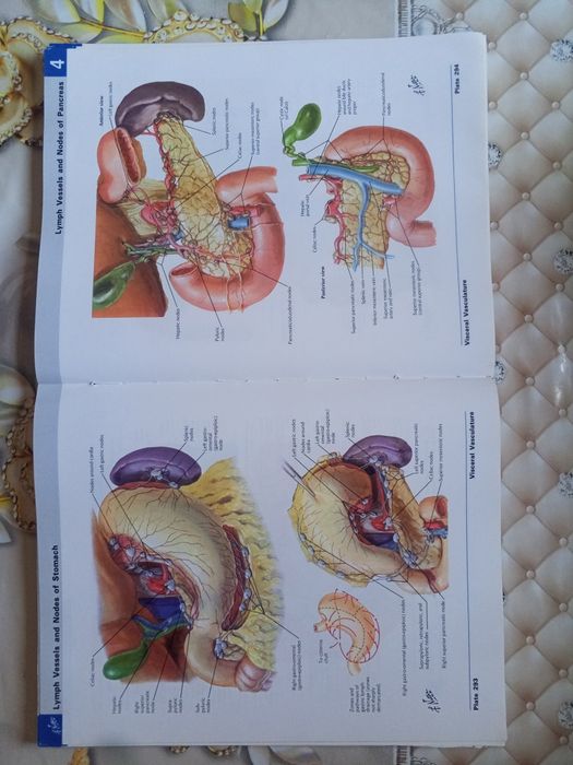 ОРИГИНАЛ! Atlas of human Anatomy Netter