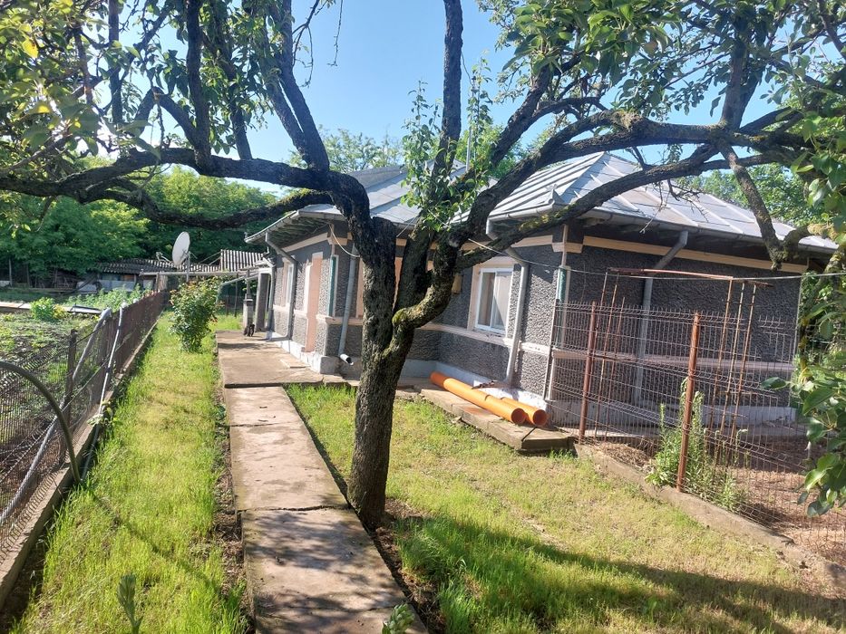 Casa de vânzare cu 2400 mp și pădure de salcâm 3200mp
