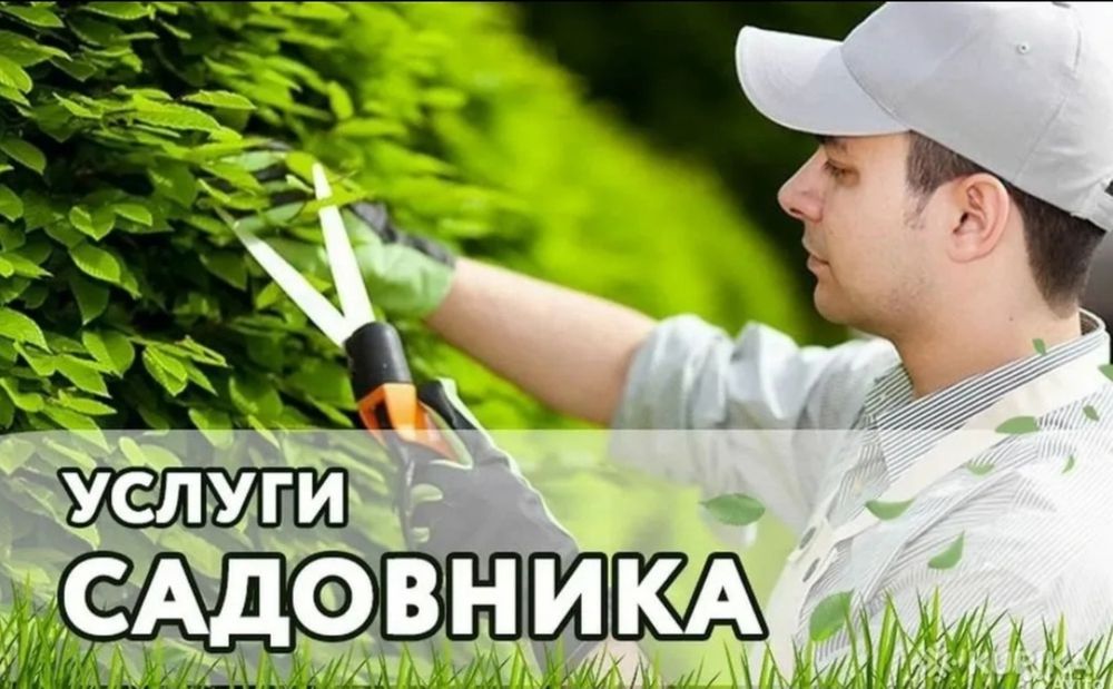 Услуги Садовника по САМЫМ НИЗКИМ ЦЕНАМ !