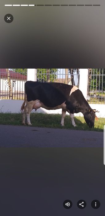 De vînzare Pogoanele .Buzău.