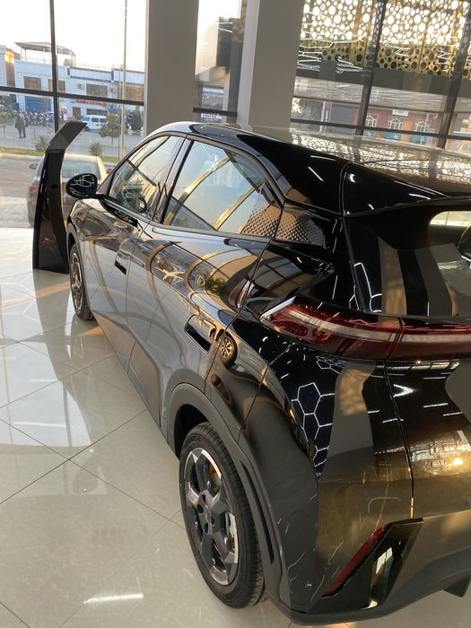 Di.Autodan byd seegul