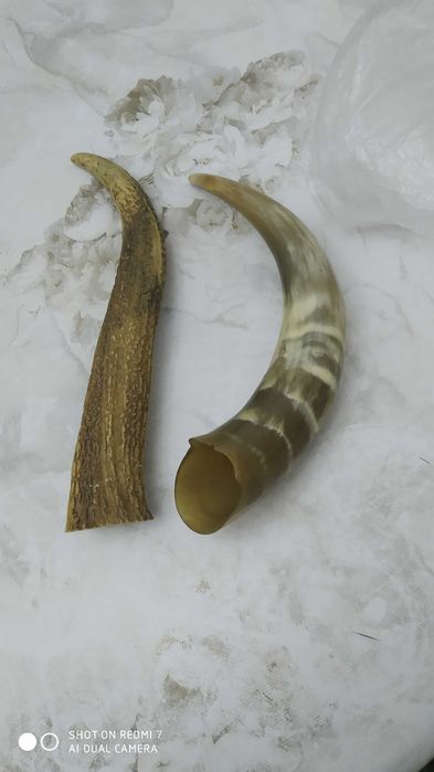 Антиквар Старый Ссср