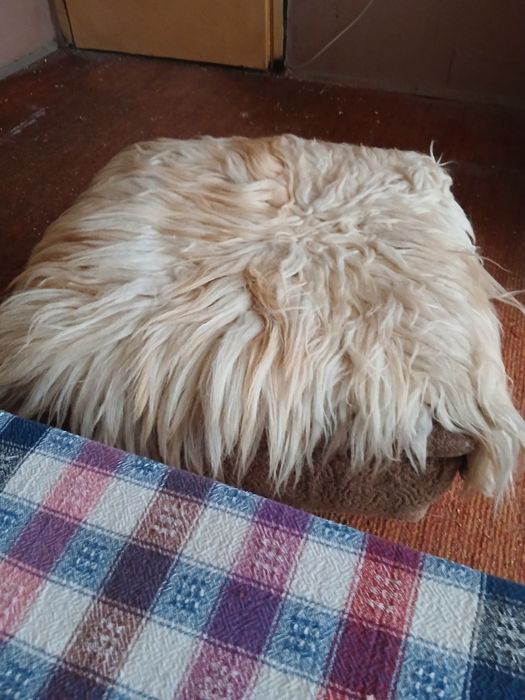 Китеници комплект