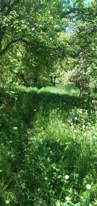 СРОЧНО! Продам дом дачу