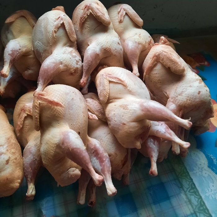 Продукты питания
