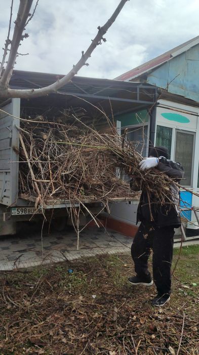 Вывоз мусора и хлам